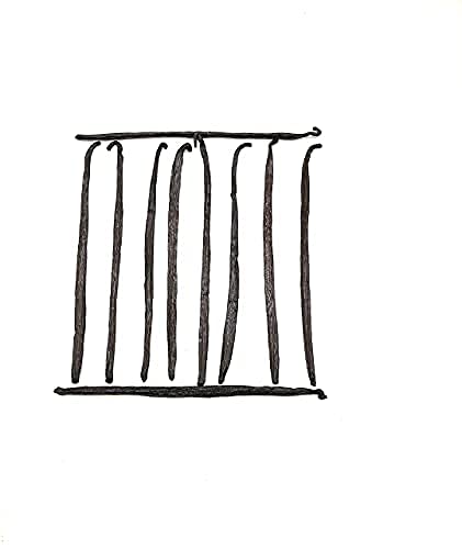 10 Madagascar Vanilla Beans - Grade A Making Pure Vanilla Extract for Chefs, Great for Baking 5''-7'' NON -GMO(Pack of 1)
