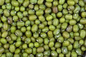Spicy World Mung Beans (Moong Whole) 4 LBS - Ideal for Cooking & Sprouting - All Natural | Gluten Friendly | Vegan | Indian Origin