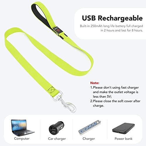 Colaseeme Light Up Dog Leash, LED Pet Leashes USB Rechargeable, Glow Safety Dogs Lights at Night (4FT,Green)