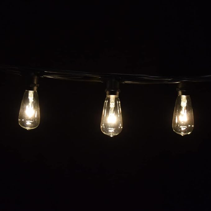 Hometown Evolution, Inc. Vintage Commercial Outdoor Edison String Lights (ST40 Clear - Commercial Black Wire, 50 ft)