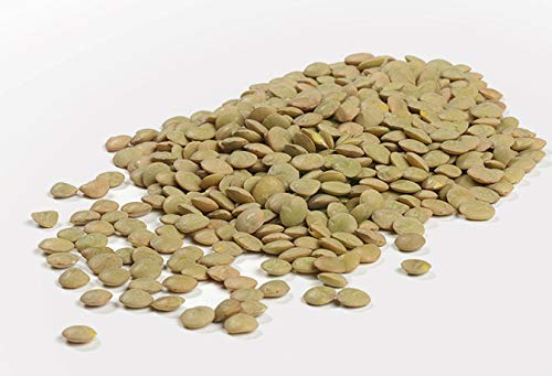 Camellia Brand Dried Lentils – Premium Non-GMO Dry Lentils Peas, High Protein Plant-Based Food for Soups, Stews, Salads, Curries, Beans, Meal Prep, and Healthy Vegetarian & Vegan Cooking, 1 Pound (Pack of 12)