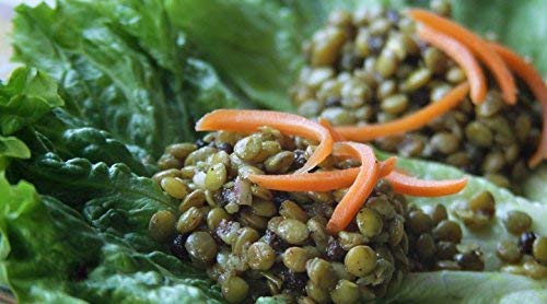 Camellia Brand Dried Lentils – Premium Non-GMO Dry Lentils Peas, High Protein Plant-Based Food for Soups, Stews, Salads, Curries, Beans, Meal Prep, and Healthy Vegetarian & Vegan Cooking, 1 Pound (Pack of 12)