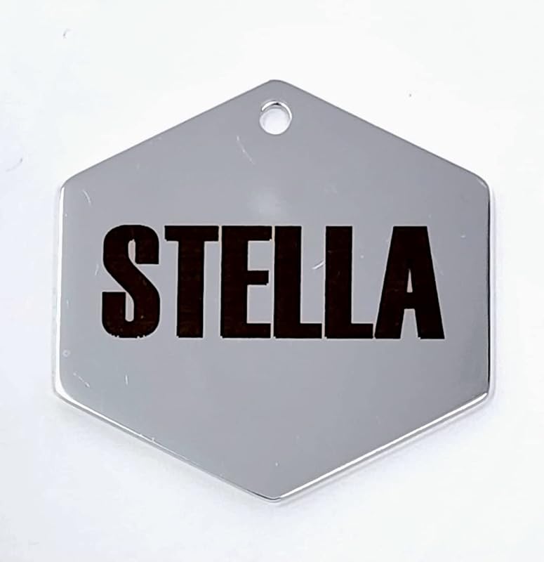 Dr. Fremont's Stainless Steel ID Dog Tags Engraved for Pets Personalized for Cat or Dog Collar Bold Font for Safety (Small, Round)