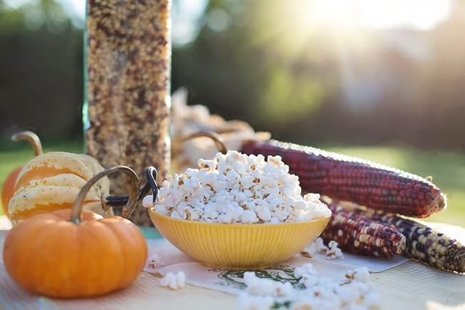 1000 Springs Mill Organic Dry Popcorn Kernels - Non-GMO, Healthy Snack for Microwave or Stovetop - Bulk Organic Popcorn Kernels with Bucket - Enjoy Fresh, Crisp & Delicious Popcorn - 25lb (Pack of 1)