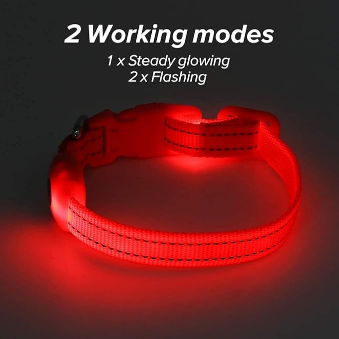 BSEEN Light Up Dog Collar, Reflective LED Dog Collar Rechargeable Glowing Puppy Collars for Small Dogs & Cats, Safety Dog Lights for Night Walking (Red)