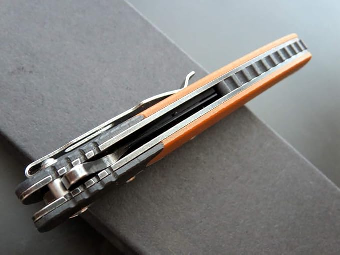 Eafengrow EF67 Pocket Knife with Metal Clip,D2 Steel Blade G10 Handle EDC folding knife Tool Liner Lock for Tourist Outdoor Camping Hiking Tactical (EF67-brown)