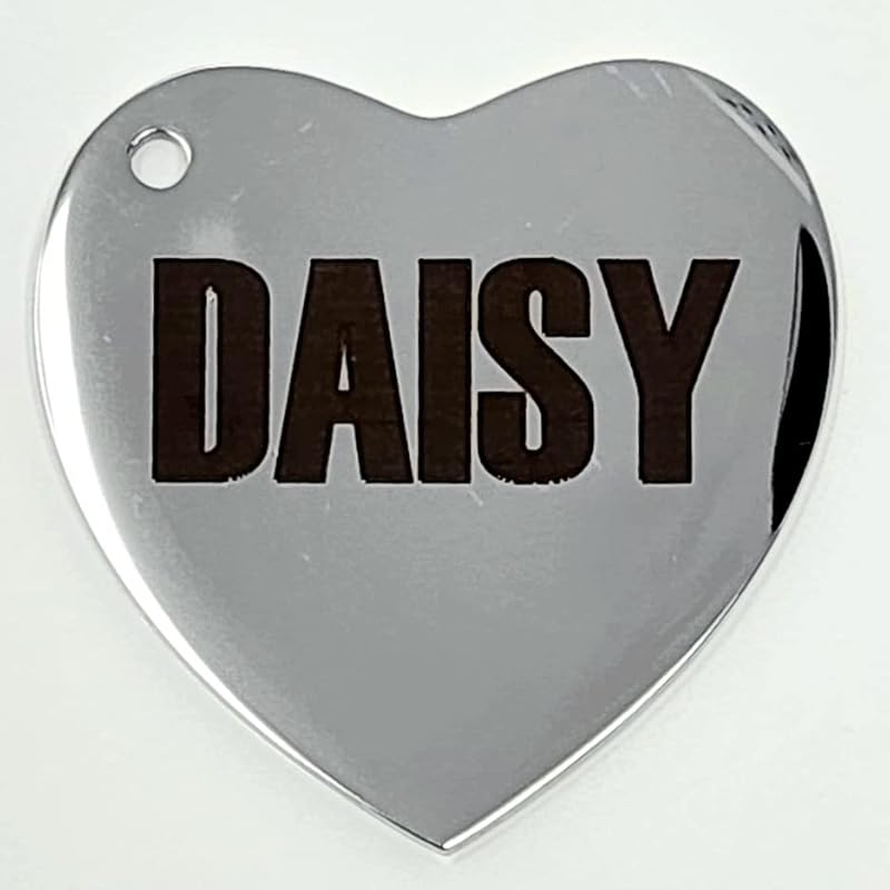 Dr. Fremont's Stainless Steel ID Dog Tags Engraved for Pets Personalized for Cat or Dog Collar Bold Font for Safety (Small, Round)