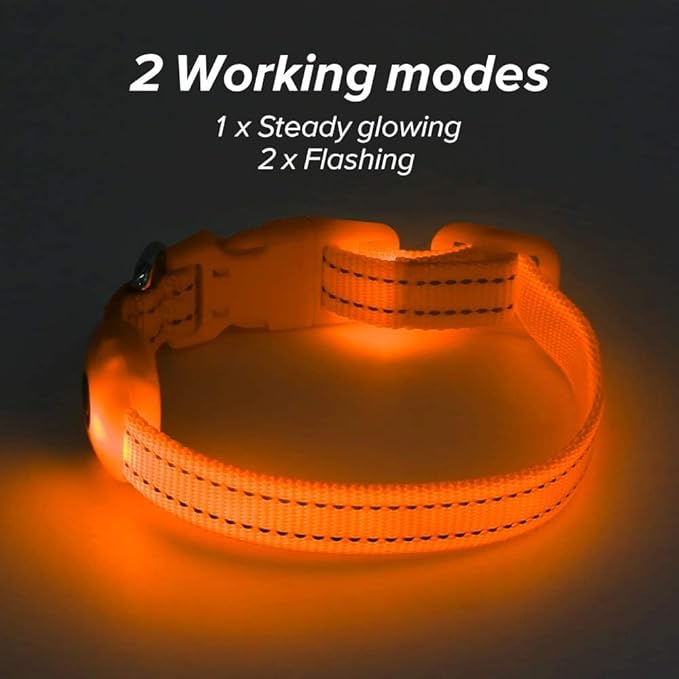 BSEEN Light Up Dog Collar, Reflective LED Dog Collar Rechargeable Glowing Puppy Collar for Puppies & Cats,Safety Dog Lights for Night Walking (Orange)