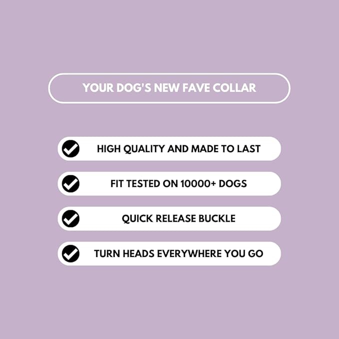 Spark Paws Tactical Dog Collar - Heavy Duty, Premium Quality, Thick and Durable for Large and Medium Dogs - Purple - M