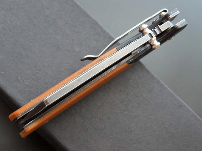 Eafengrow EF68 Folding Knife D2 Blade and G10 Handle with Clip Ball Bearing Everyday Carry Tool for Outdoor Rescue Survival (EF68-brown)