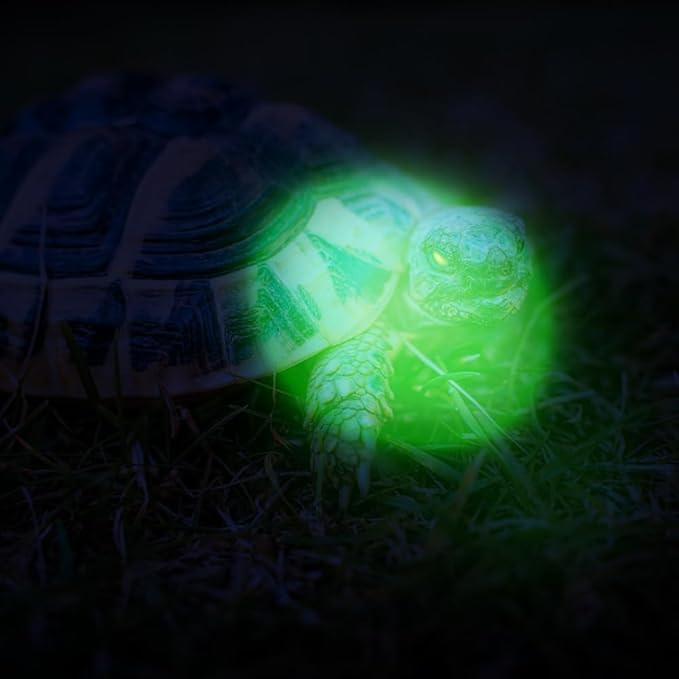 12 Pack Ultra Bright Green Light Keychain Flashlight, Mini Green LED, Green Keychain Flashlight for Night Observation