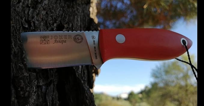 Joker Survival Knife BS9 Avispa CN117, Orange Micarta Canvas Handle, 3.15 inches Blade of Sandvik 14C28N and Kydex Sheath, Tool for Fishing, Hunting, Camping and Hiking