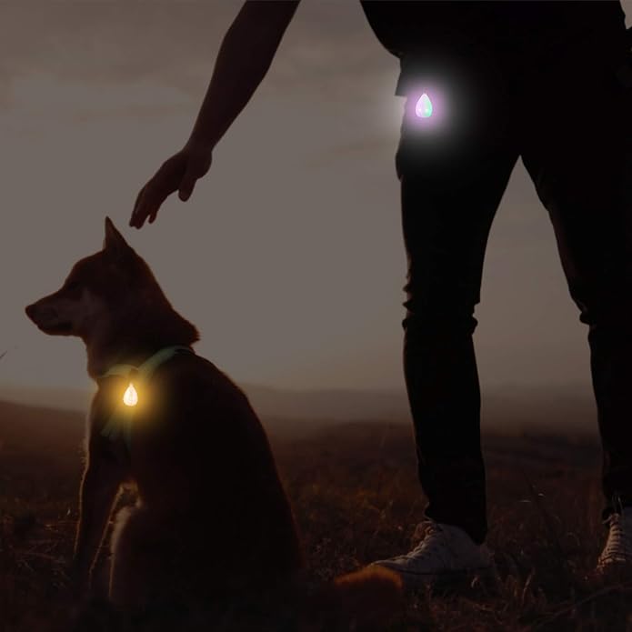 2-Pack Rechargeable Dog Light, Dog Collar Light,Waterproof ,3 Modes LED Dog Safety Lights,Multiple Color Options,Clip On Collar, Leash or Harness,Night Light for Running ,Climbing,Camping or Bike