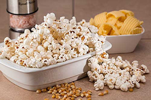 1000 Springs Mill Organic Dry Popcorn Kernels - Non-GMO, Healthy Snack for Microwave or Stovetop - Bulk Organic Popcorn Kernels with Resealable Bag - Enjoy Fresh & Crisp Popcorn - 16oz (Pack of 1)
