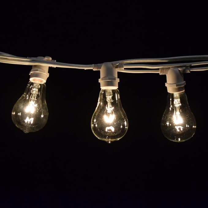 Hometown Evolution, Inc. Commercial Grade Vintage Edison Outdoor String Lights (PS50 Clear - Commercial White Wire, 50 ft)