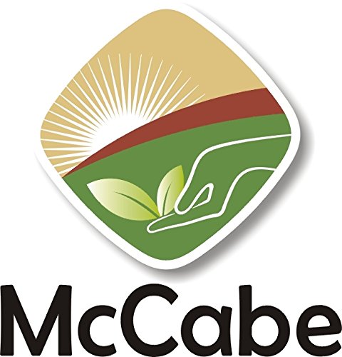 McCabe Organic French Green Lentils - Green Lentils Organic | Rich with Fiber & Minerals | USDA and CCOF Certified | Packed in USA | 1Lbs