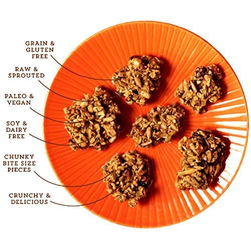 Lark Ellen Farm Vanilla Cinnamon Granola Clusters: Raw, Organic, Vegan. Low Carb, Paleo. Gluten-Free Bites. Healthy Snack, Healthy Breakfast, Cereal or Yogurt 8 oz, 6 Pack