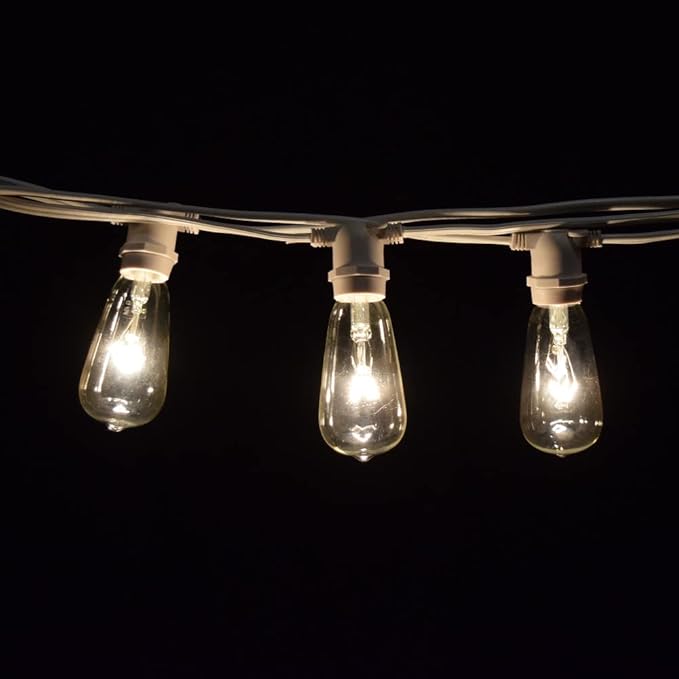 Hometown Evolution, Inc. Commercial Grade Vintage Edison Outdoor String Lights (ST40 Clear - Commercial White Wire, 100 ft)