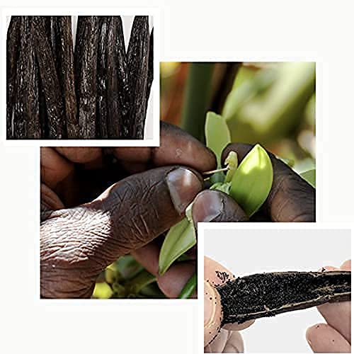 10 Madagascar Vanilla Beans - Grade A 5"-7" Creamy Gourmet Bourbon for Natural Homemade Extract and Baking & Cooking 10 Count(Pack of 1)