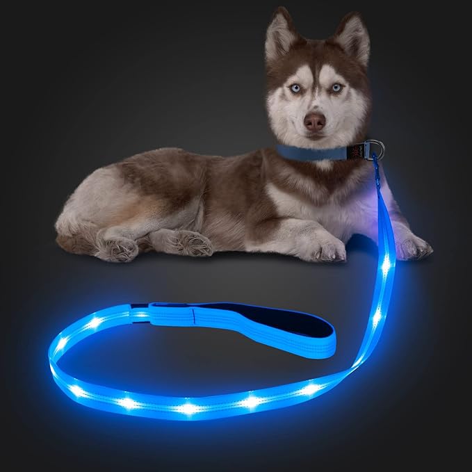 Candofly Light Up Dog Leash - 4 Ft Glowing Pet Leash Reachargeable - Nylon LED Dog Leash for Night Walking (Sky Blue)