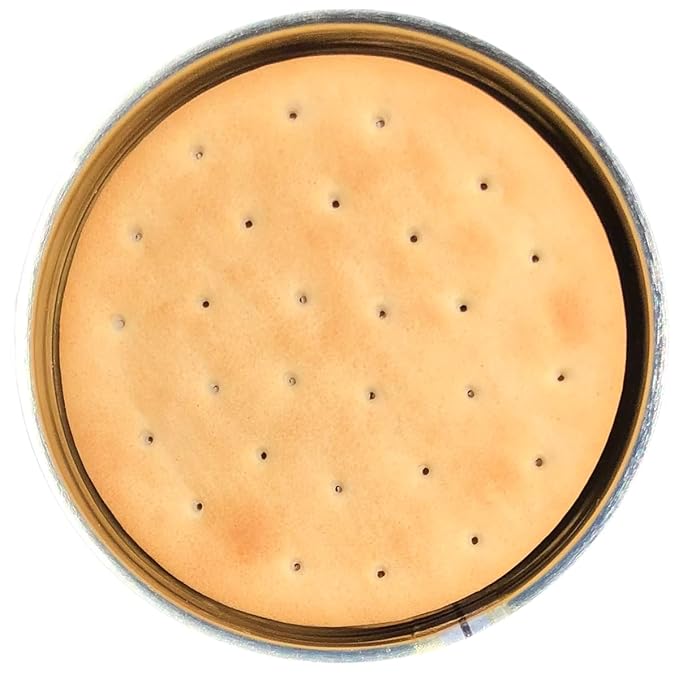 Future Essentials Sailor Pilot Bread Crackers 9.9 Oz per Can Ship’s Biscuit Ready to Eat Survival Food #2.5 Can (12 Servings Each) Pack of 1 Long-Term Emergency Storage Food 30-Year Shelf Life