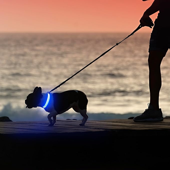 Illumifun LED Dog Collar, Reflective Light Up Collars for Small Dog, USB Rechargeable Pet Collar Light for Dogs Walking Camping (Blue?? Small)