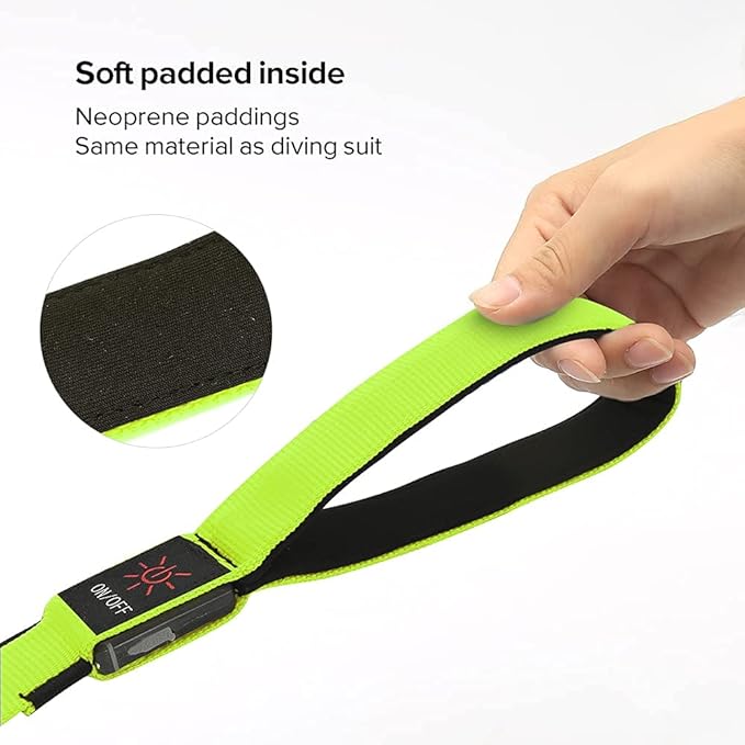 Colaseeme Light Up Dog Leash, LED Pet Leashes USB Rechargeable, Glow Safety Dogs Lights at Night (4FT,Green)