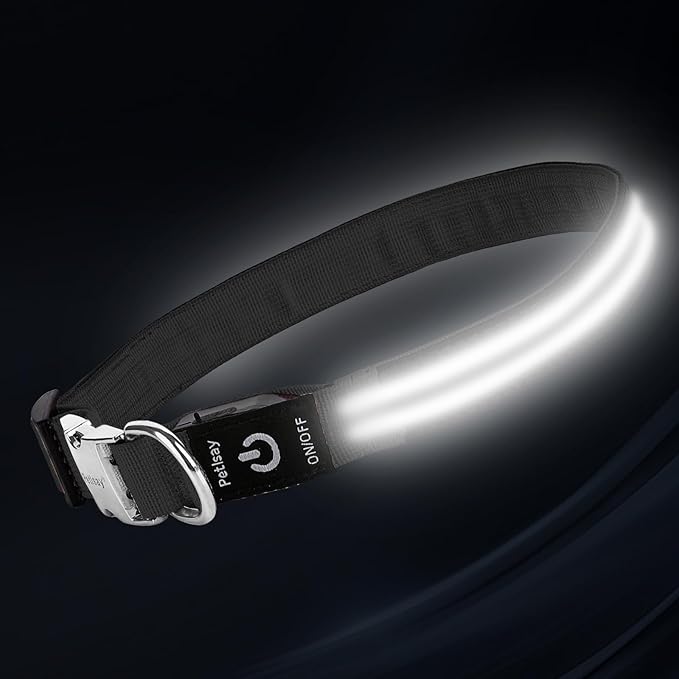 LED Dog Collar with Metal Buckle - USB Rechargeable Glow Collar for Dogs, Waterproof Light Up Dog Collar w/Reflective Strips - Adjustable Night Safety Collars by PetIsay(White,Large)