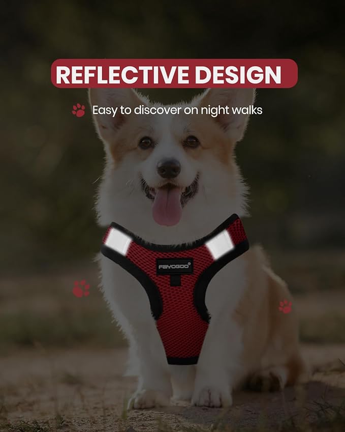 FAYOGOO Service Dog Vest for Small Dogs - Lightweight Dog Harness with 6PCS Removable Patches - Puppy Harness and Leash Set for Walking,Training