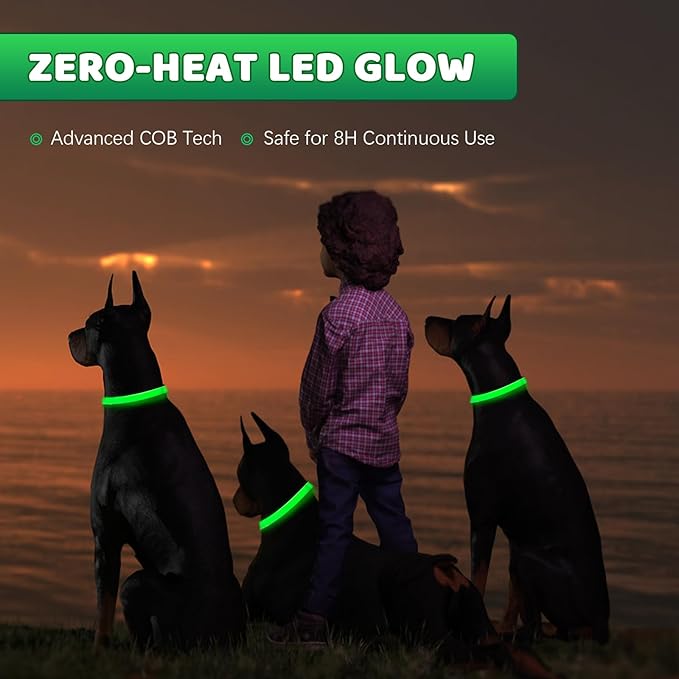 Led Dog Collar, Jestrem USB Rechargeable Waterproof Pet Safety Collar for Night Walking, Adjustable Reflective Collar Light Up Dog Collar for Small Medium Large Dogs