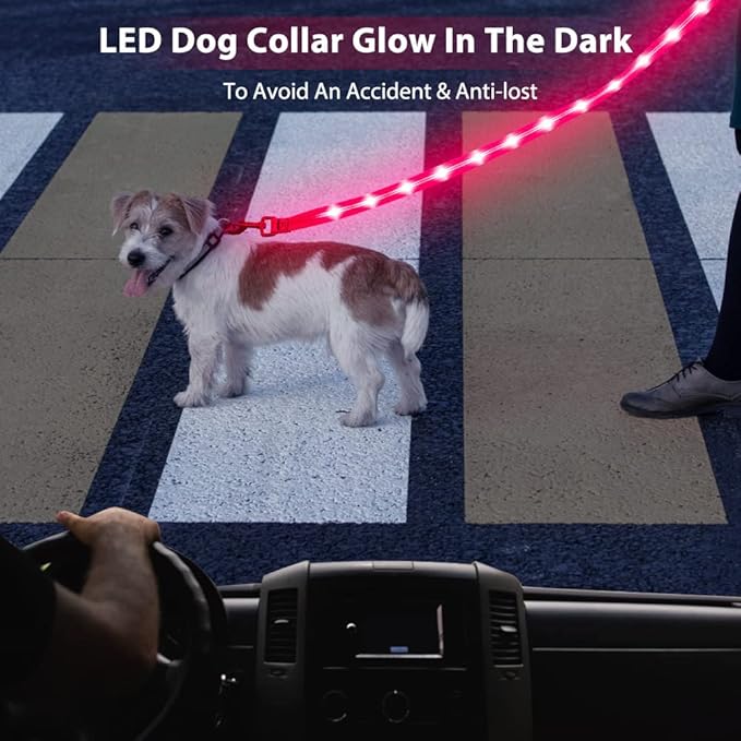 Candofly Light Up Dog Leash, USB Rechargeable LED Dog Leash, 4 Ft Reflective Pet Leash for Small Medium Large Dogs(Hotpink)