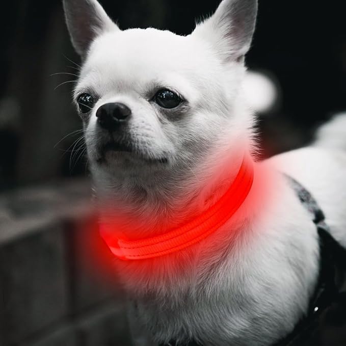 BSEEN Light Up Dog Collar, Reflective LED Dog Collar Rechargeable Glowing Puppy Collars for Small Dogs & Cats, Safety Dog Lights for Night Walking (Red)