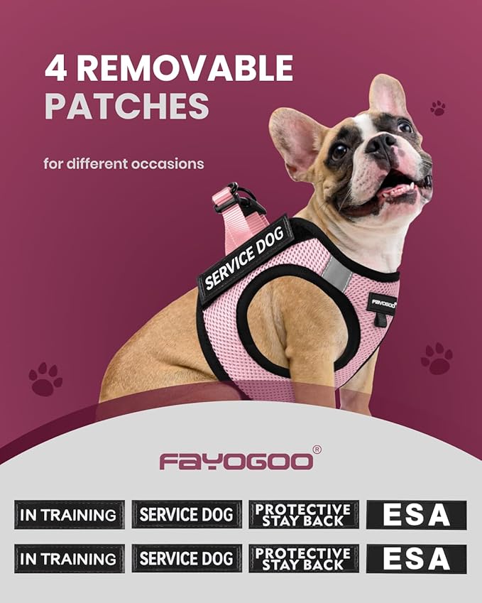 FAYOGOO Service Dog Vest for Small Breed - Lightweight Dog Harness with 6PCS Removable Patches - Puppy Harness and Leash Set for Walking,Training