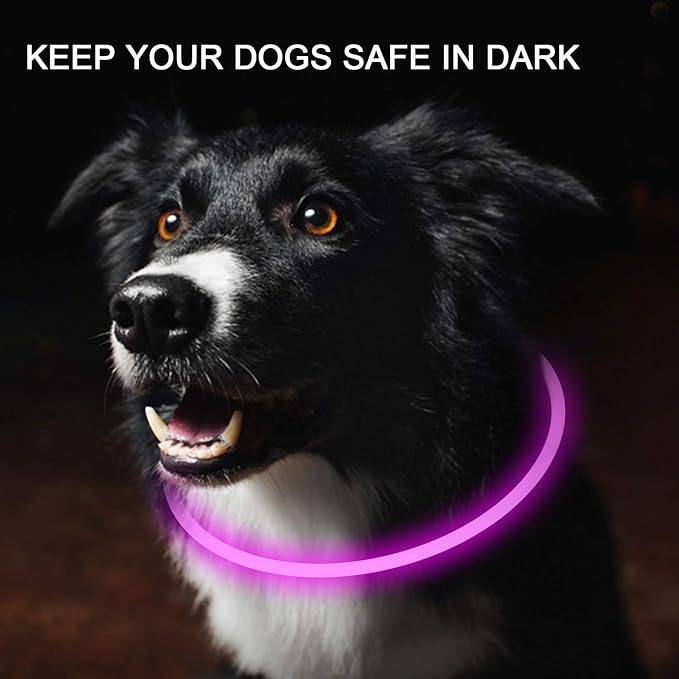 2-Pack LED Dog Collar, Light Up Dog Collars,Rechargeable Dog Lights for Night Walking,Universal, Reusable Safety Necklace for Small Medium Large Dogs RED&Pink
