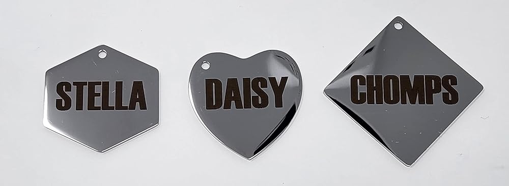 Dr. Fremont's Stainless Steel ID Dog Tags Engraved for Pets Personalized for Cat or Dog Collar Bold Font for Safety (Small, Round)