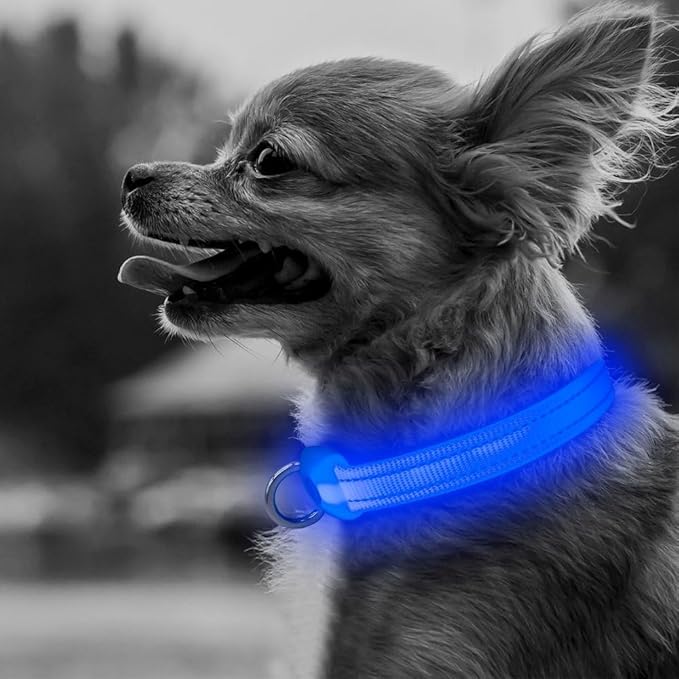 BSEEN Light Up Dog Collar, Rechargeable LED Dog Collar Reflective Glowing Pet Collar for Puppies & Cats, Safety Dog Lights for Night Walking (Blue)