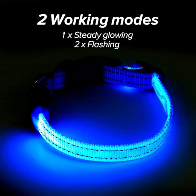 BSEEN Light Up Dog Collar, Rechargeable LED Dog Collar Reflective Glowing Pet Collar for Puppies & Cats, Safety Dog Lights for Night Walking (Blue)