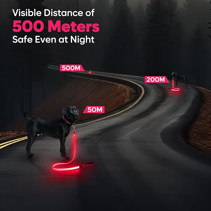 LED Dog Leash, 4 Ft Light Up, USB Rechargeable, Waterproof, Nylon Reflective with Padded Handle, Glow in The Dark for Large, Medium, Small Pets (Pink)
