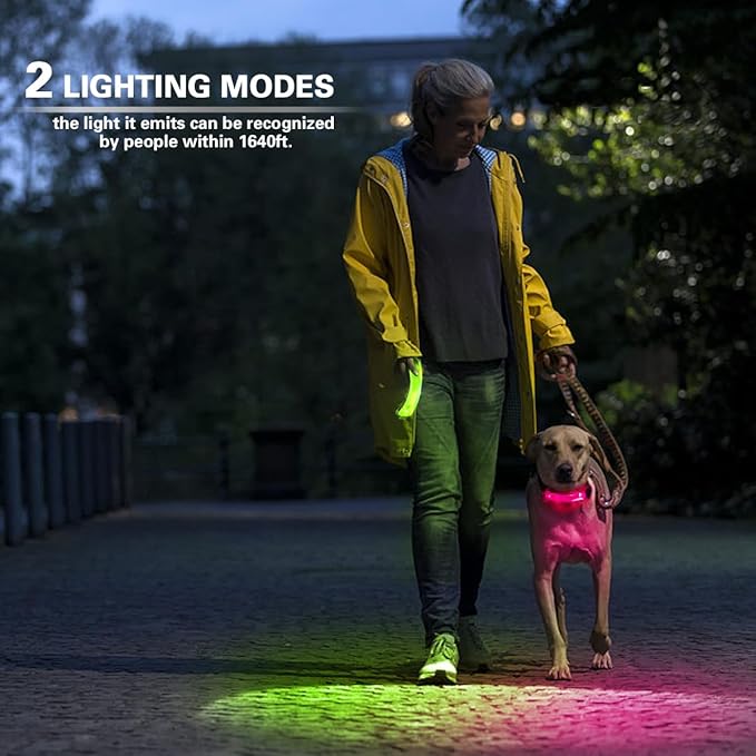 2 Pack LED Light for Dog Leash Harness, USB Rechargeable Light Up Collar with Nylon Stickers, Glow Light Easy to Attach to Collar Leash and Harness, Safety LED Light Up Band for Dogs at Night Walking