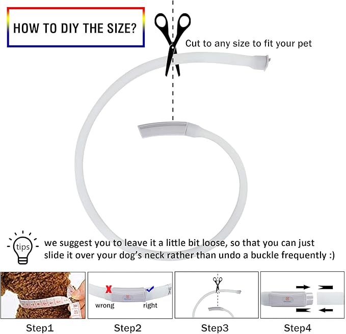 Led Dog Collar Rechargeable USB-C, Super Bright Multi-Color Light Up Collar, Weatherproof Lighted Safety Dog Collar Light for Night Walking,Size Cuttable for Large Medium Small Dogs