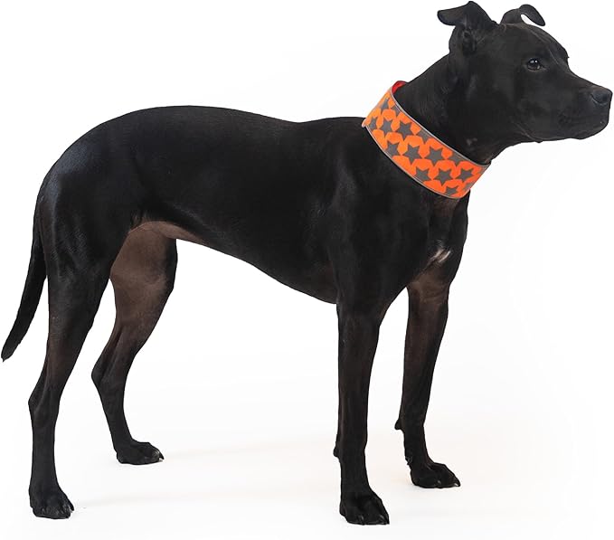 SafetyPUP XD Reflective Dog Collar ??Blaze Orange Dog Collar, Adjustable Closure for a High Visibility Customizable Collar for Goats, Dogs, Deer, and Livestock. Reflective Stars Enhance Night Safety