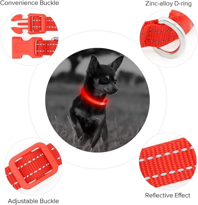 BSEEN Light Up Dog Collar, Reflective LED Dog Collar Rechargeable Glowing Puppy Collars for Small Dogs & Cats, Safety Dog Lights for Night Walking (Red)