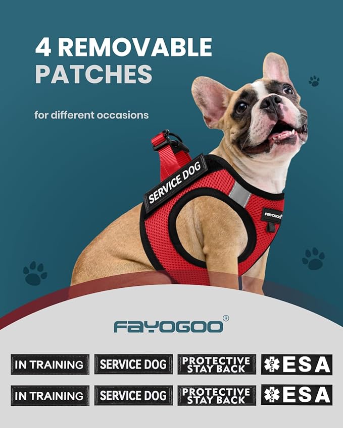 FAYOGOO Service Dog Vest for Small Breed - Lightweight Dog Harness with 6PCS Removable Patches - Puppy Harness and Leash Set for Walking,Training