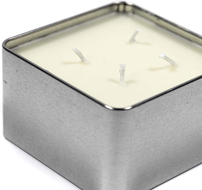 ASR Outdoor 48 Hour Survival Candle for Camping Emergency Fire Starter in Tin, 4 Wick