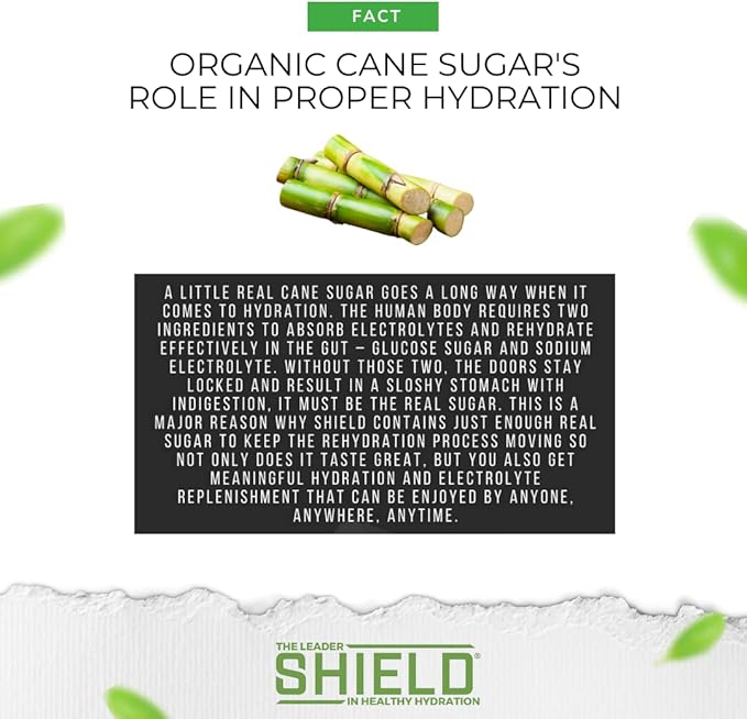 SHIELD® Electrolyte Replenisher | 32ct Powder Stick Packs – Refreshing, Clean, & Clear Hydration, No Artificial Colors/Dyes, No HFCS, Balanced Electrolyte Replenishment, and Real Fruit Flavor