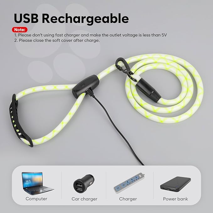 Colaseeme Light Up Dog Leash, LED Pet Leashes USB Rechargeable, Glow Safety Dogs Lights at Night (5FT,Multi-Color)