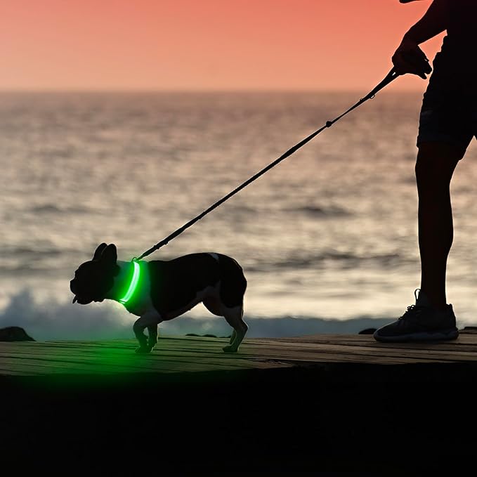 Illumifun Light Up Dog Collar, USB Rechargeable LED Dog Collar, Reflective Flash Pet Lighted Collar for Nighttime Walking (Green?? Large)