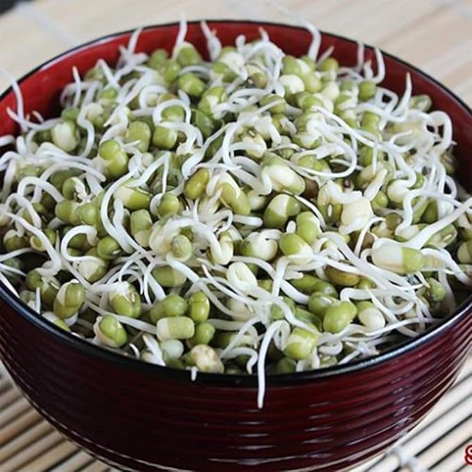 Whole dried Organic Mung Beans aka 'Green Gram' 'Maash' 'Moong' Prewashed Clean Ready to Cook non GMO