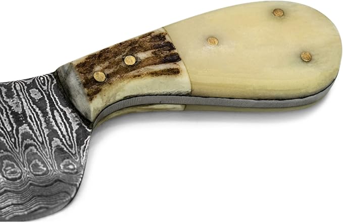 Titan International Knives Damascus EDC Skinning Fixed Blade Knife | Handmade 1095 4340 Carbon Mix Hand Pounded | Stag Horn & Camel Bone Grip for Hunting with Sheath