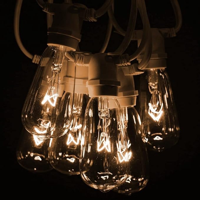 Hometown Evolution, Inc. Commercial Grade Vintage Edison Outdoor String Lights (ST40 Clear - Commercial White Wire, 100 ft)